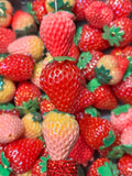 Shimmer Strawberry Shaped Beads - Mix (5pcs)